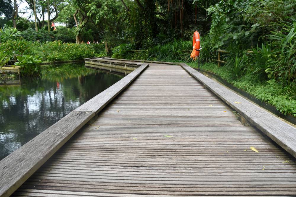 Jurong Bird Park